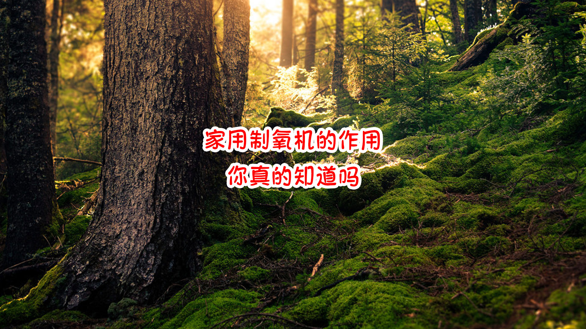 4008云顶集团·(中国游)官方网站